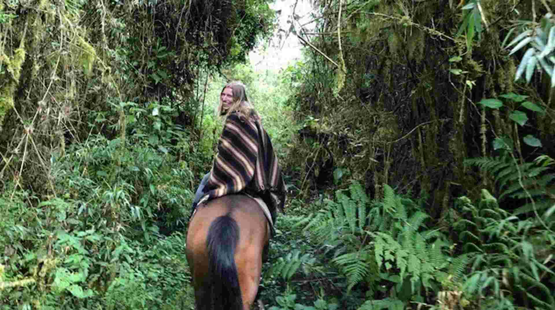 Magical Cloud Forest Tour