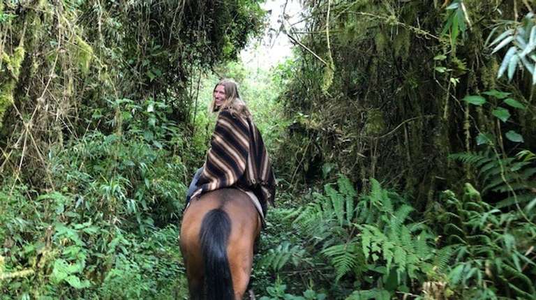 Magical Cloud Forest Tour trip - alternative tour available
