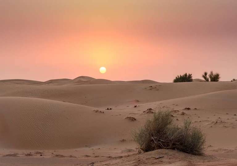 Luxury Dubai and the Maldives trip - alternative tour available