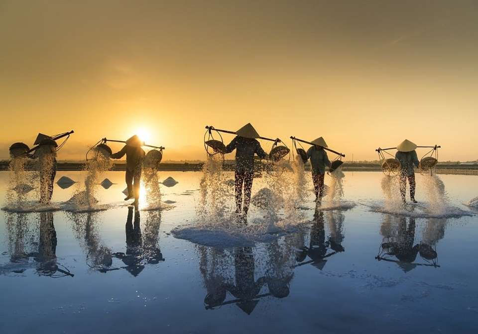 Magical Mekong Cruise Downstream - Indus Travels - Cambodia - Image 7