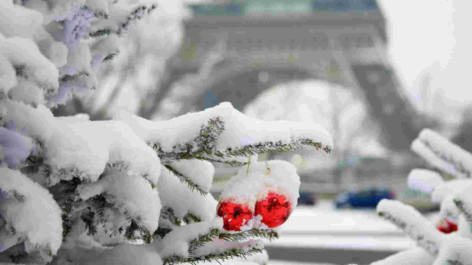 Magical Parisian Holiday (2027)