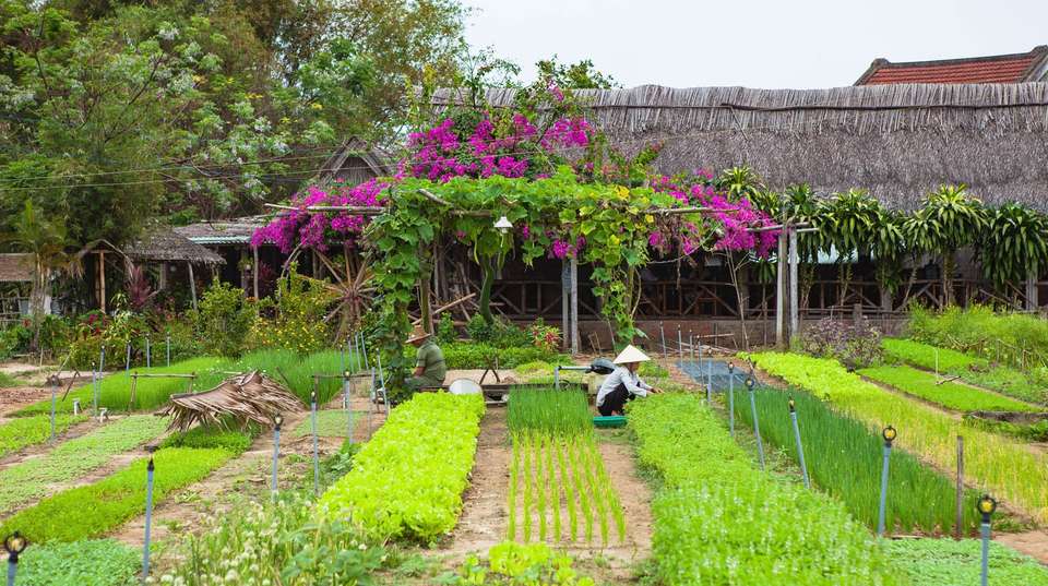 Magical Vietnam: Cruise, Caves, and Ancient Town Wonders - Footsteps Indochina Travel - Vietnam - Image 5