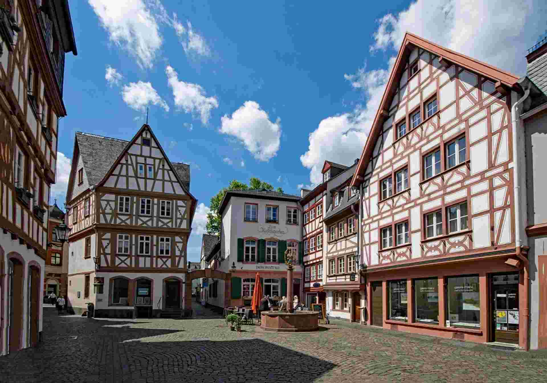 Magnificent Moselle and Rhine