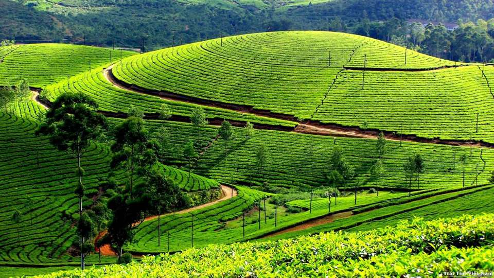 Mai Chau Day Tour - undefined - Image 2