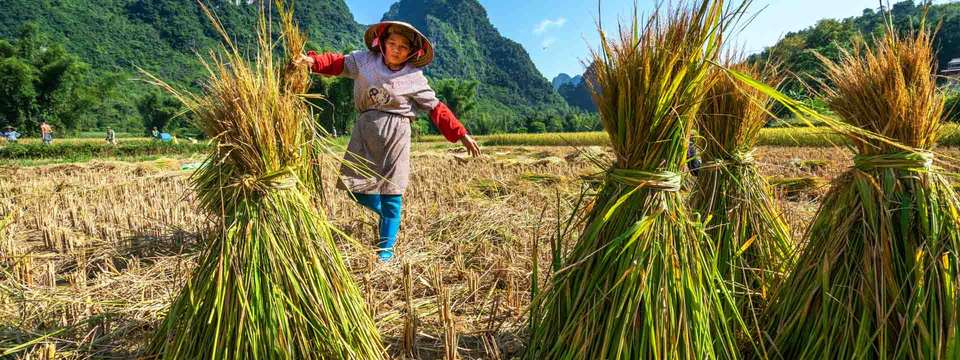 Mai Chau Day Tour - undefined - Image 4
