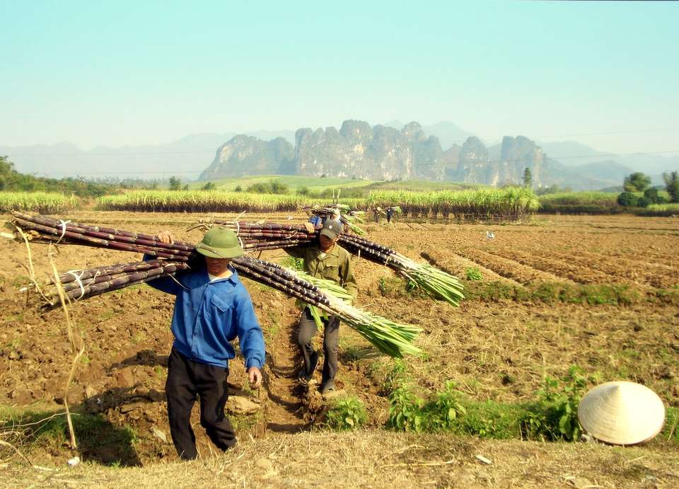 Mai Chau Day Tour - undefined - Image 6