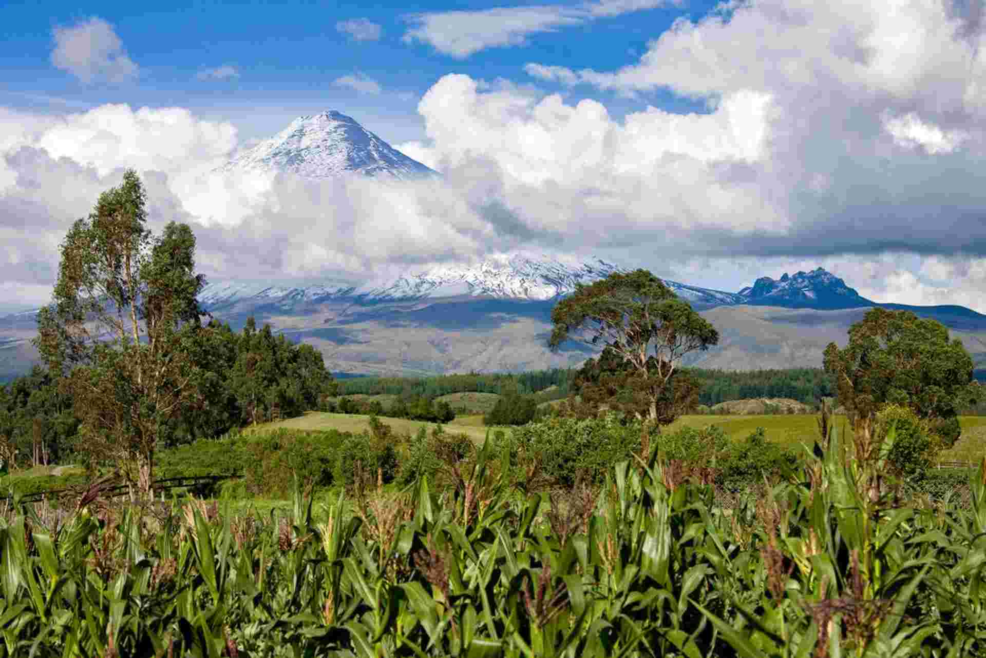 Mainland Ecuador and Galapagos Cruise