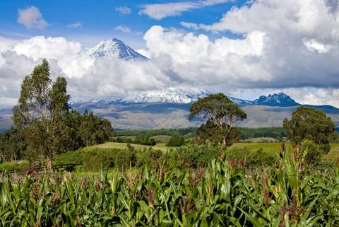 South America Explorer Tour: Mainland Ecuador And Galapagos Cruise