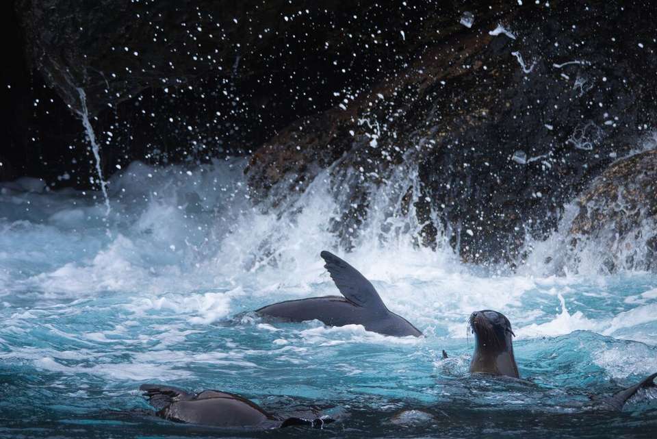 Mainland Ecuador and Galapagos Cruise - Intrepid Travel - Ecuador