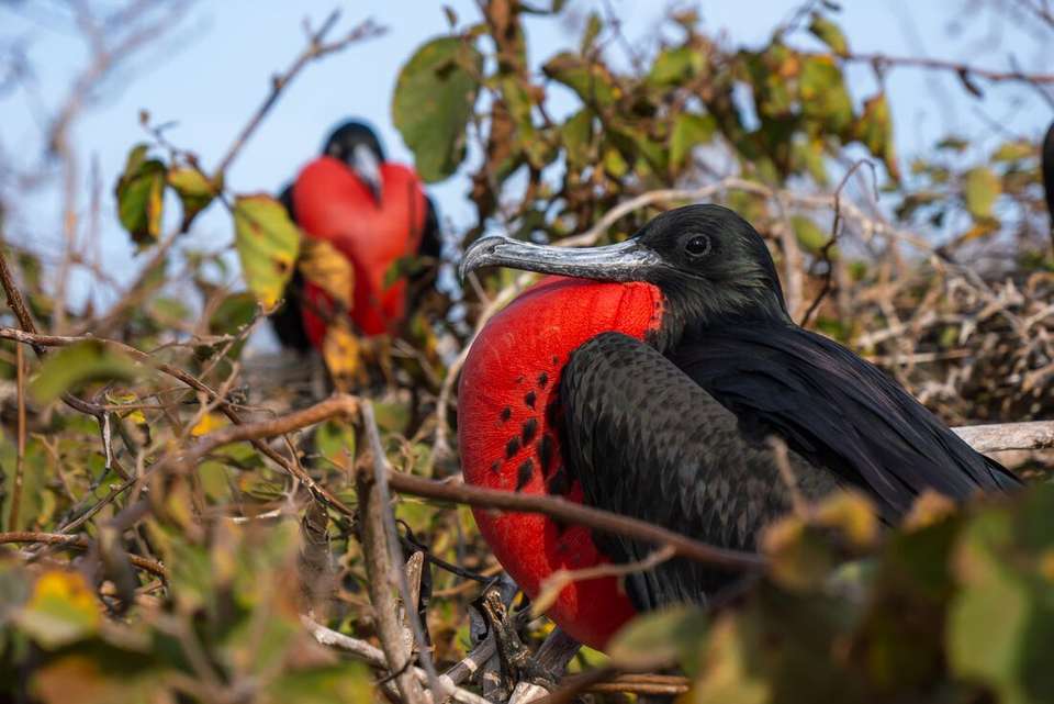 Mainland Ecuador and Galapagos Cruise - Intrepid Travel - Ecuador