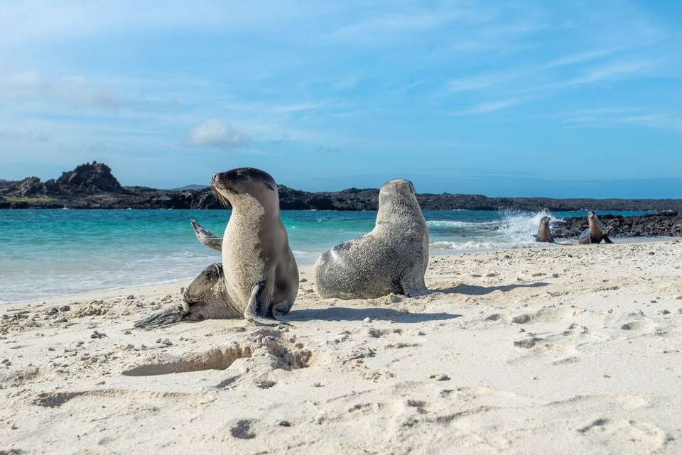 Mainland Ecuador and Galapagos Cruise - Intrepid Travel - Ecuador