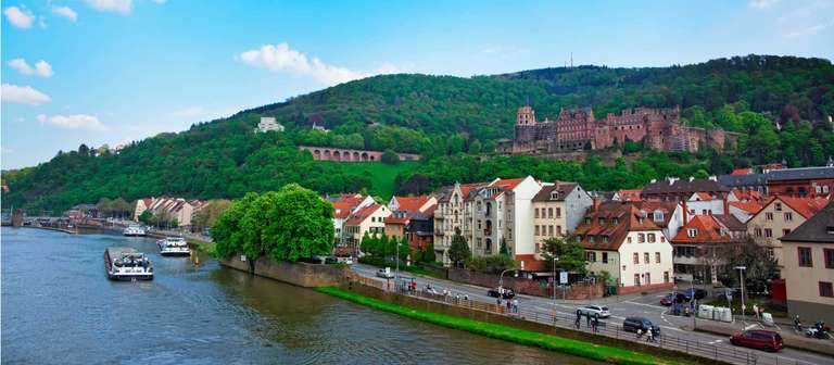 Mainz to Strasbourg by Bike and Barge trip - alternative tour available
