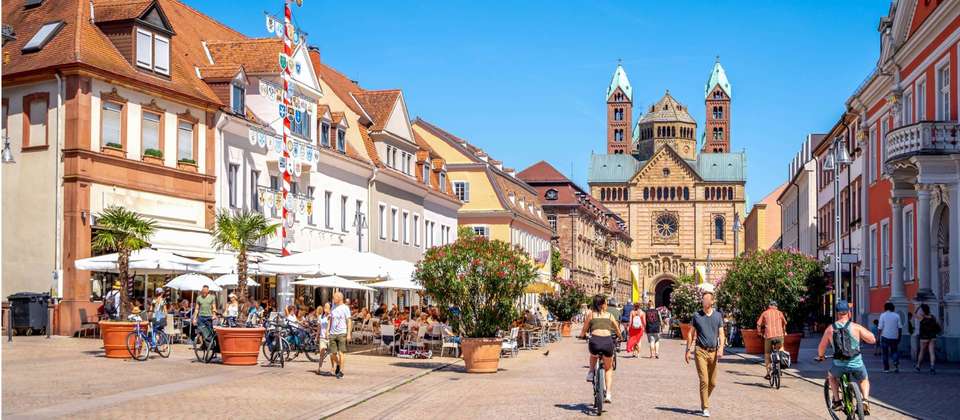 Mainz to Strasbourg by Bike and Barge - Utracks - Germany
