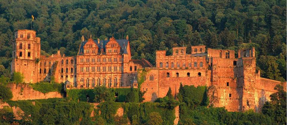 Mainz to Strasbourg by Bike and Barge - Utracks - Germany