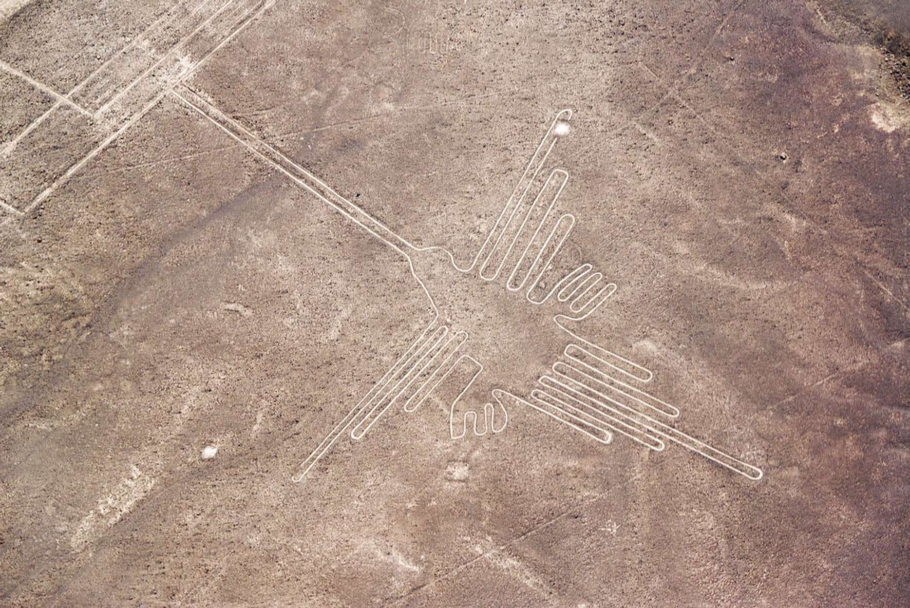 Image 1 of 20