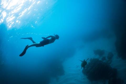 Majestic Peru & Southern Galapagos Cruise (grand Queen Beatriz) - Summer Tours