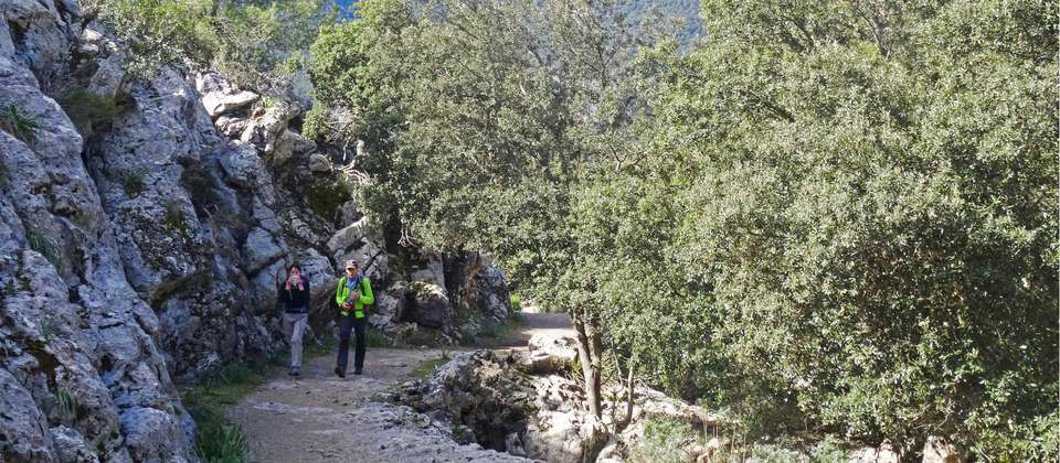 Majorca Hike: Sierras & Monasteries - World Expeditions - Spain - Image 5