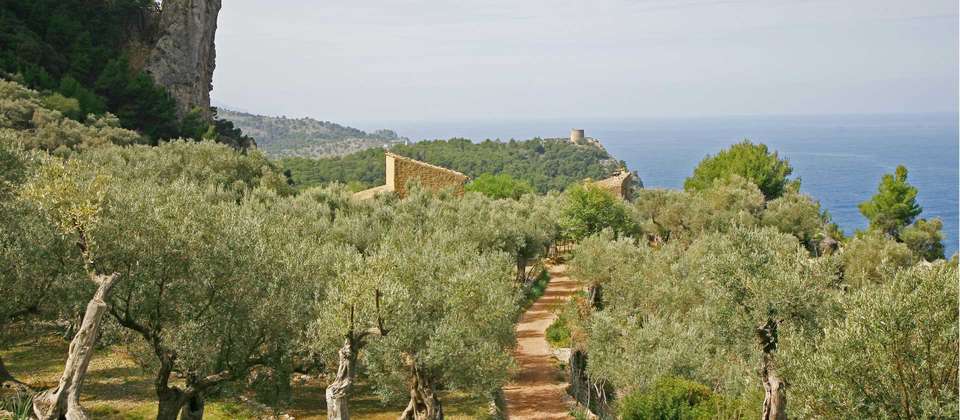 Majorca Hike: Sierras & Monasteries - World Expeditions - Spain - Image 11