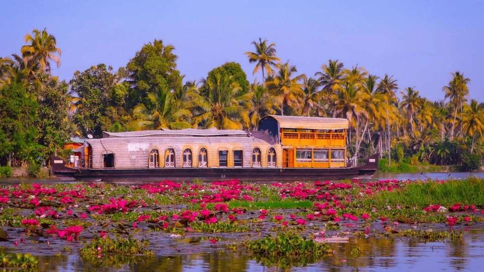 Malabar Coast Delights with Chef Vinod - Indus Travels - India - Image 7