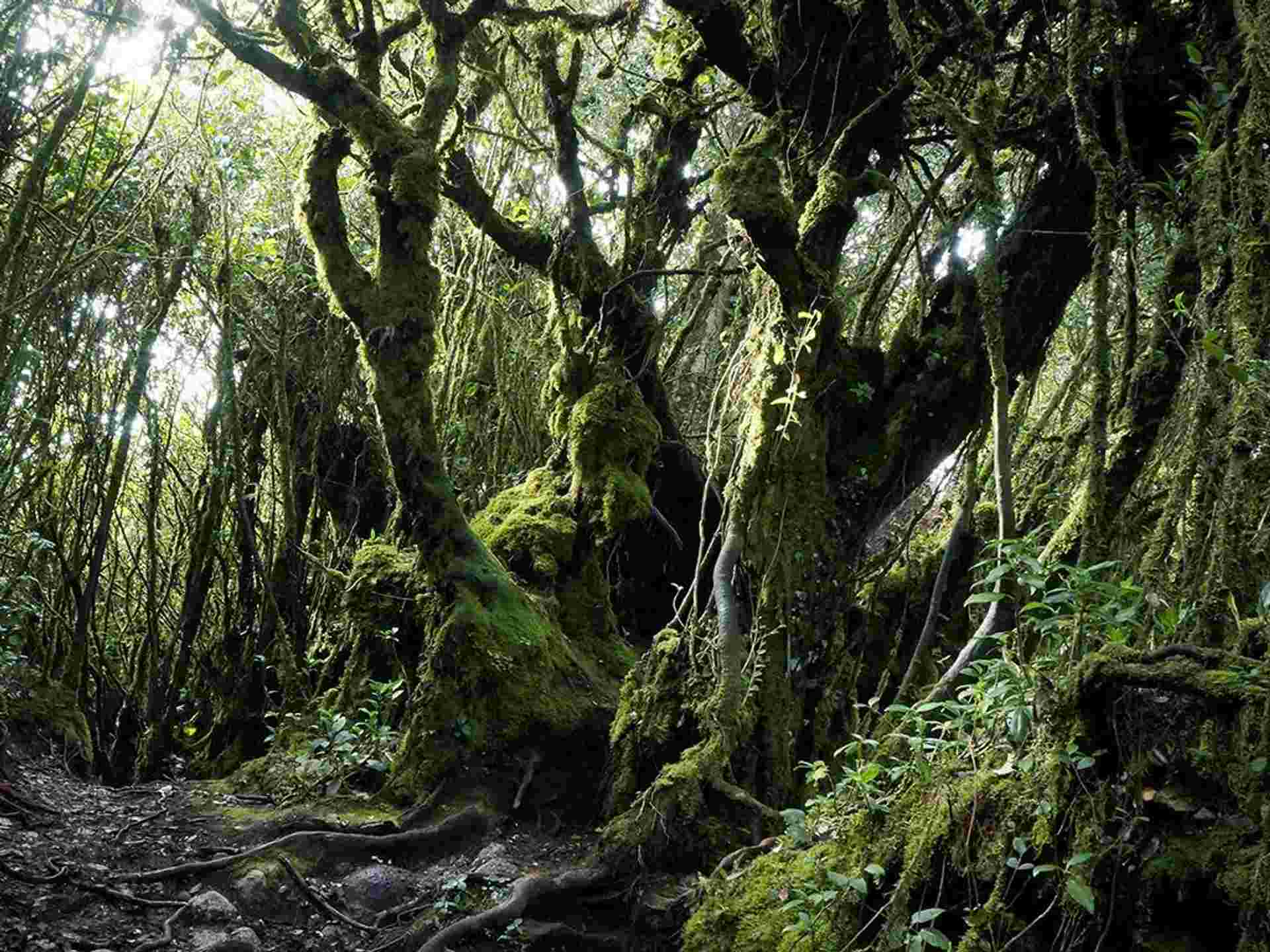 Malaysia Encompassed Adventure 9D/8N