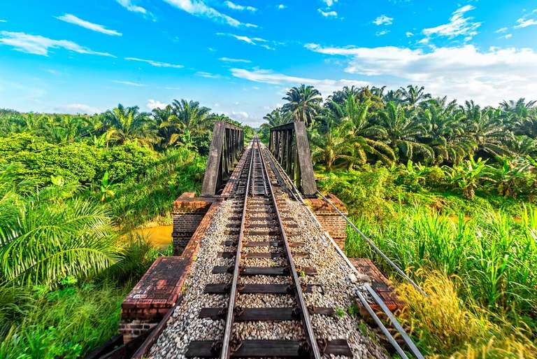 Malaysia's Jungle Railway Adventure trip - alternative tour available