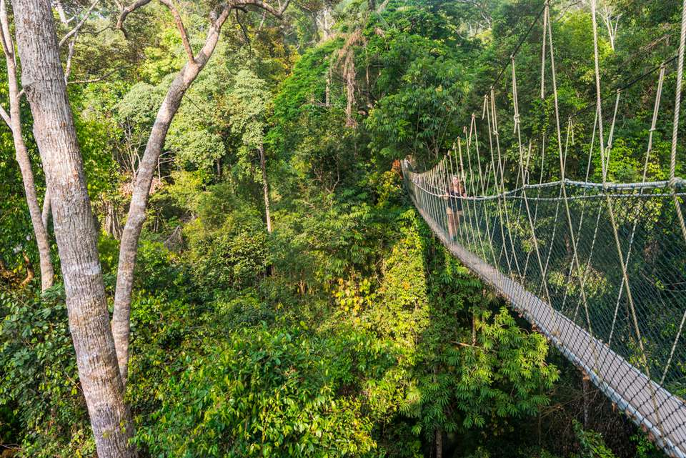 Malaysia's Jungle Railway Adventure - Intrepid Travel - Malaysia - Image 3