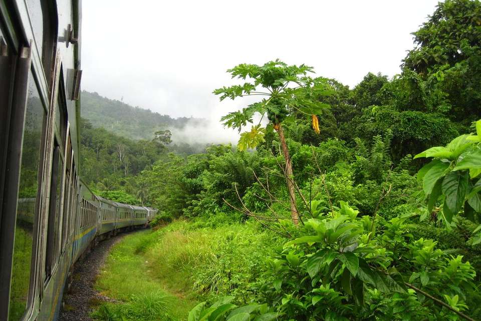 Malaysia's Jungle Railway Adventure - Intrepid Travel - Malaysia - Image 11
