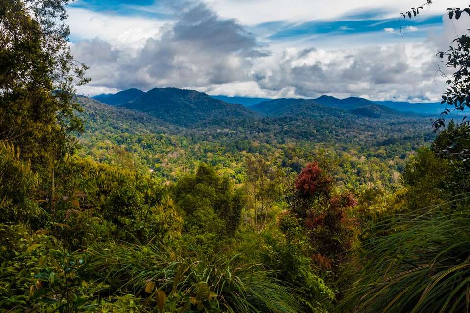 Malaysia's Jungle Railway Adventure - Intrepid Travel - Malaysia - Image 13