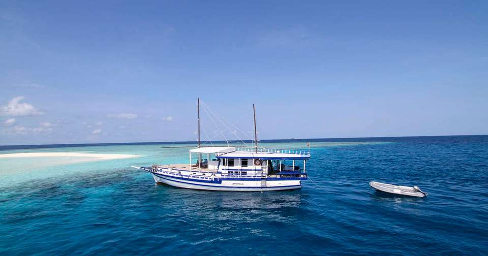 Maldive Dhoni Cruise - Explore - Maldives - Image 7