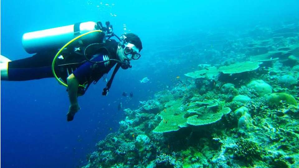 Maldives Island Escape - Encounters Travel - Maldives - Image 3