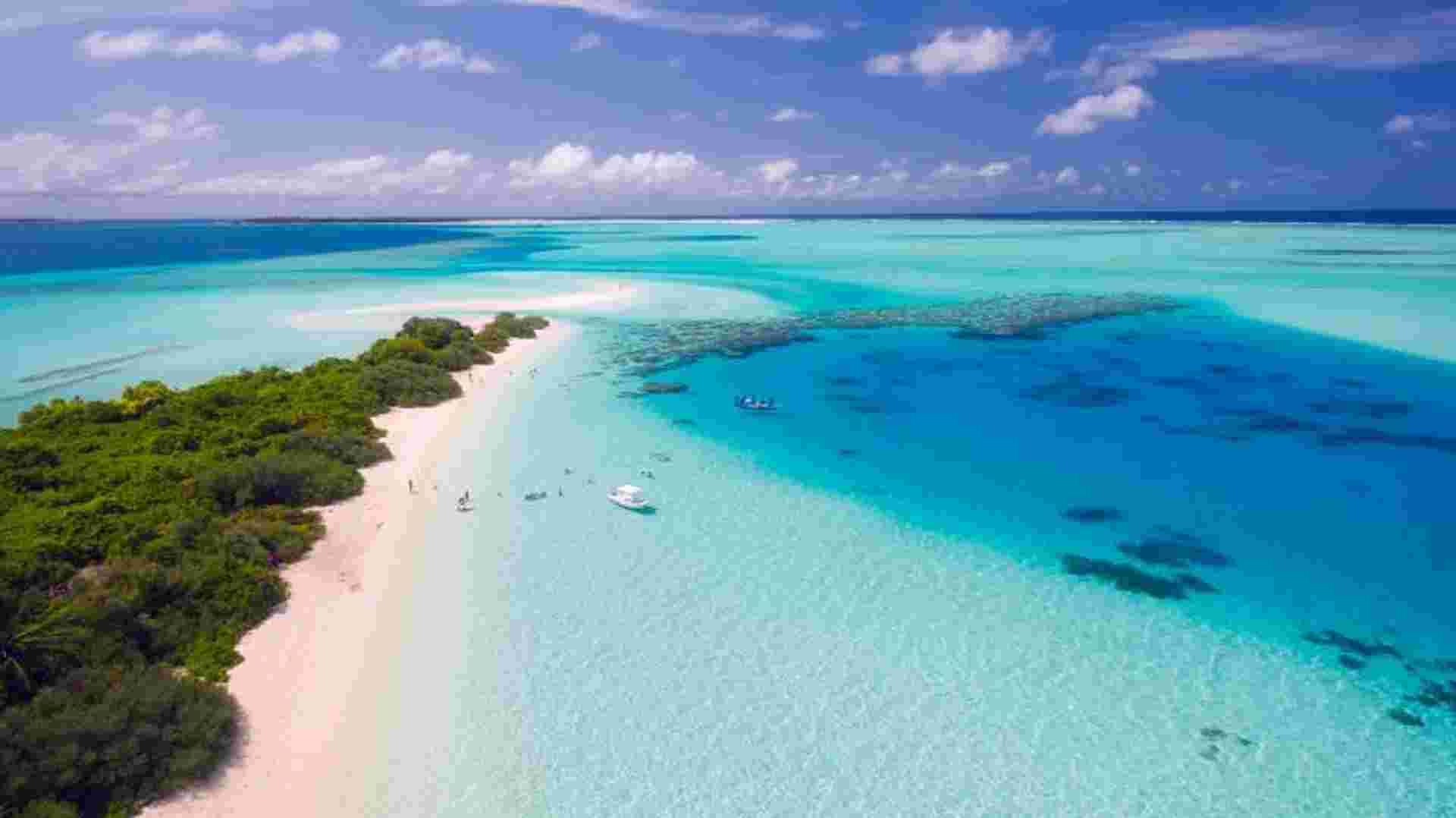 Marine Conservation Cruise