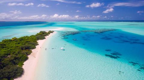 Marine Conservation Cruise - 8 Days