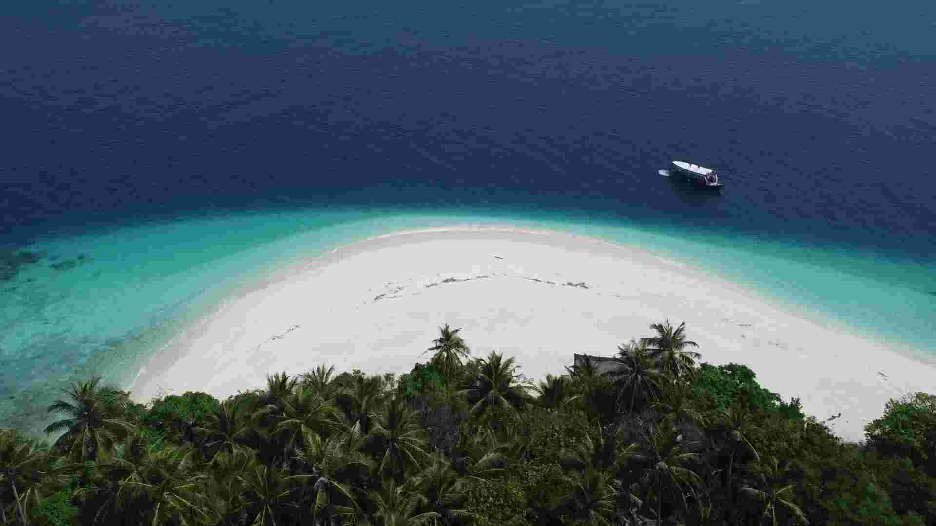 Maldives Sea Turtle Conservation Cruise - 8 days