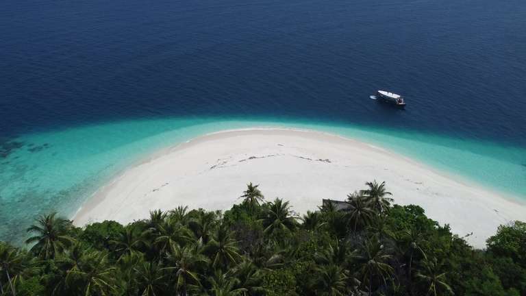 Maldives Sea Turtle Conservation Cruise - 8 days trip - alternative tour available