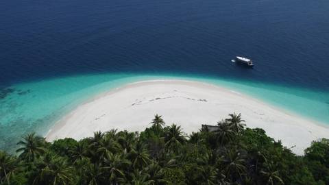 Maldives Explorer Tour: Maldives Sea Turtle Conservation Cruise - 8 Days