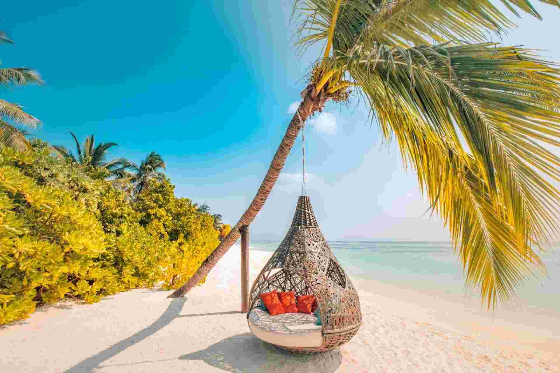 Maldivian Delight, Private Tour