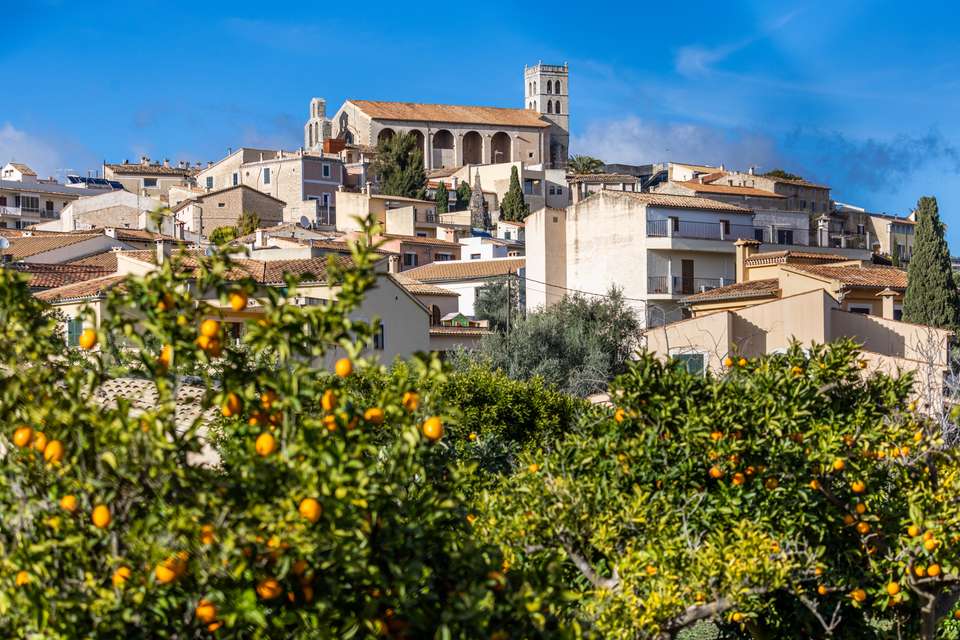 Mallorca Self-Guided Coast to Coast Ride - Exodus Adventure Travels - Spain - Image 10