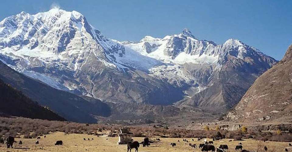 Manaslu Circuit Trek - Green Valley Nepal Treks Pvt Ltd - Nepal - Image 4