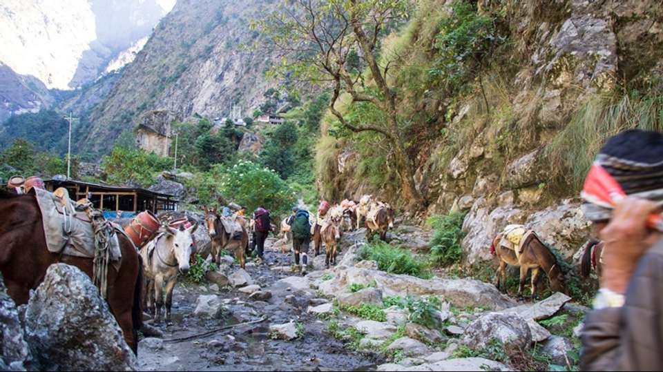 Manaslu Circuit Trek - Himalayan Scenery Treks And Expedition - Nepal - Image 2
