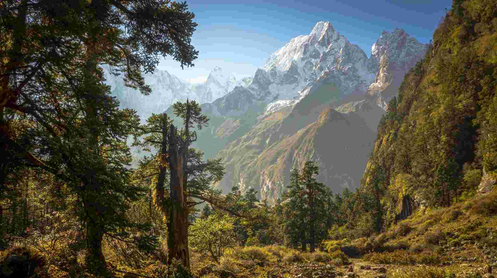 Manaslu Circuit Trekking