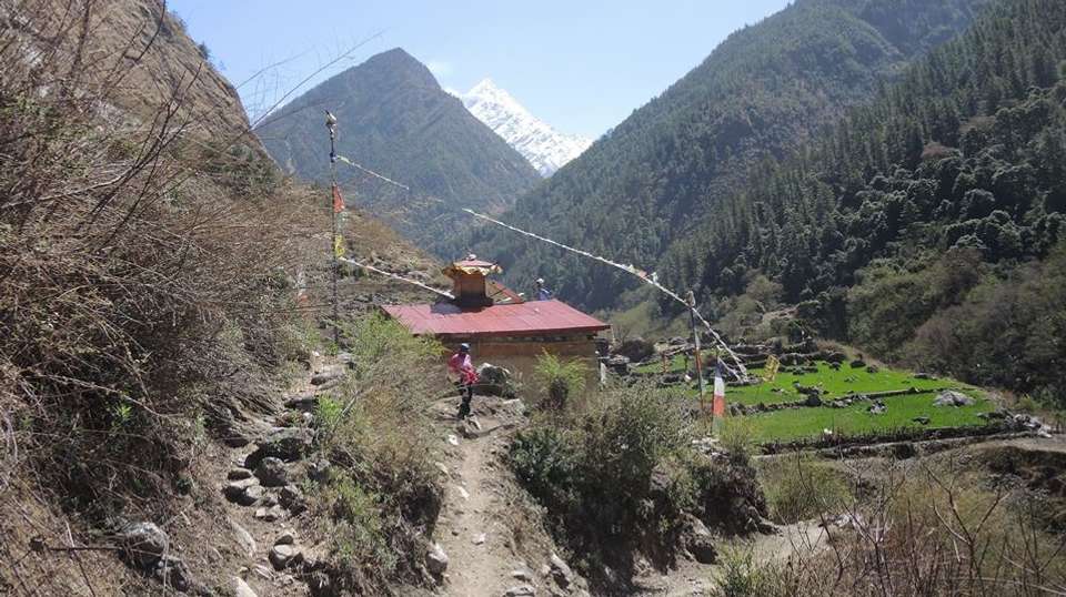 Manaslu Trek - Unique Path Trekking & Expedition (p) Ltd. - Nepal - Image 4