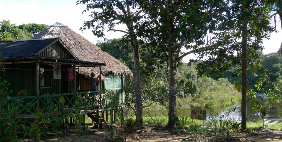 Manaus Amazon Jungle Adventure 3D/2N - Bamba - Brazil - Image 4