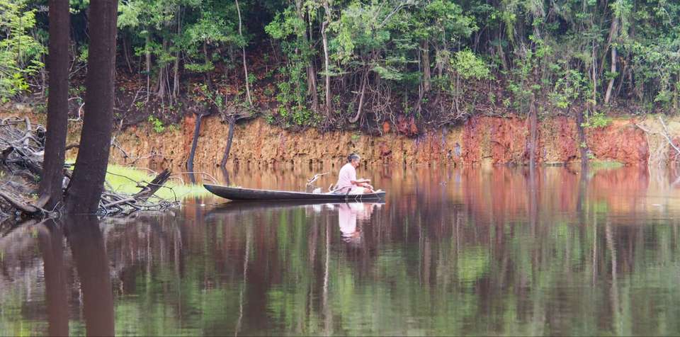 Manaus Amazon Jungle Adventure 4D/3N - Bamba - Brazil