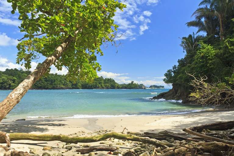 Manuel Antonio Beach & San José City, Short Break - Spring tours