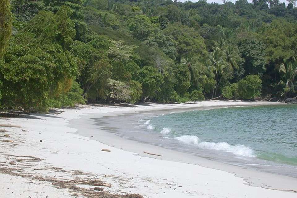 Manuel Antonio National Park Full Day Tour From San Jose - Destination Services - Costa Rica - Image 2