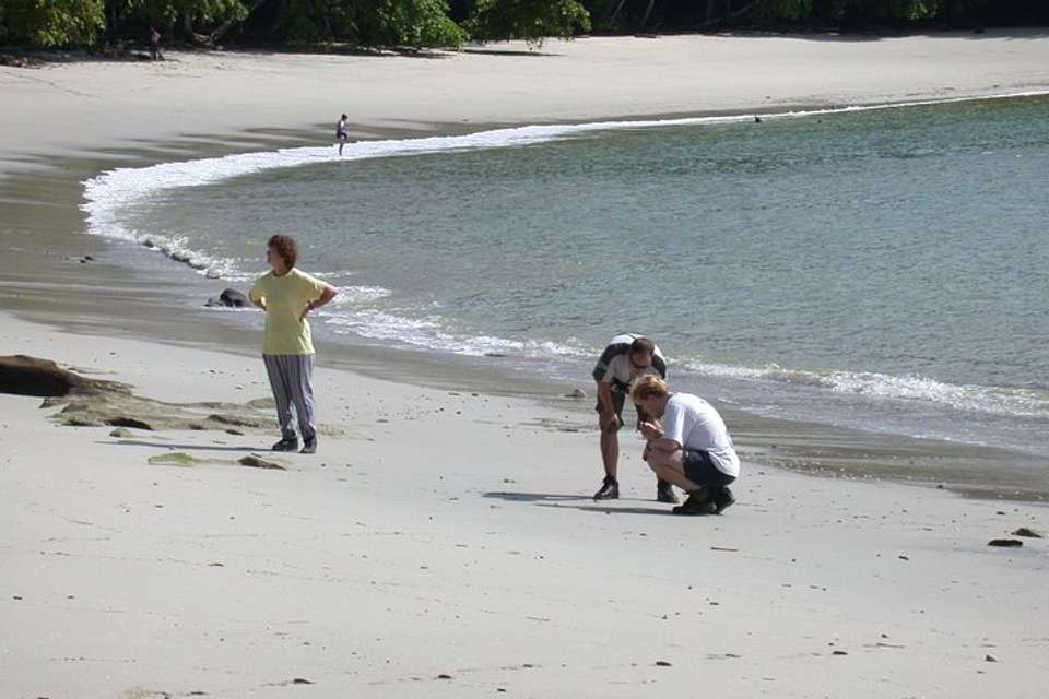Manuel Antonio National Park Full Day Tour From San Jose - Destination Services - Costa Rica - Image 3