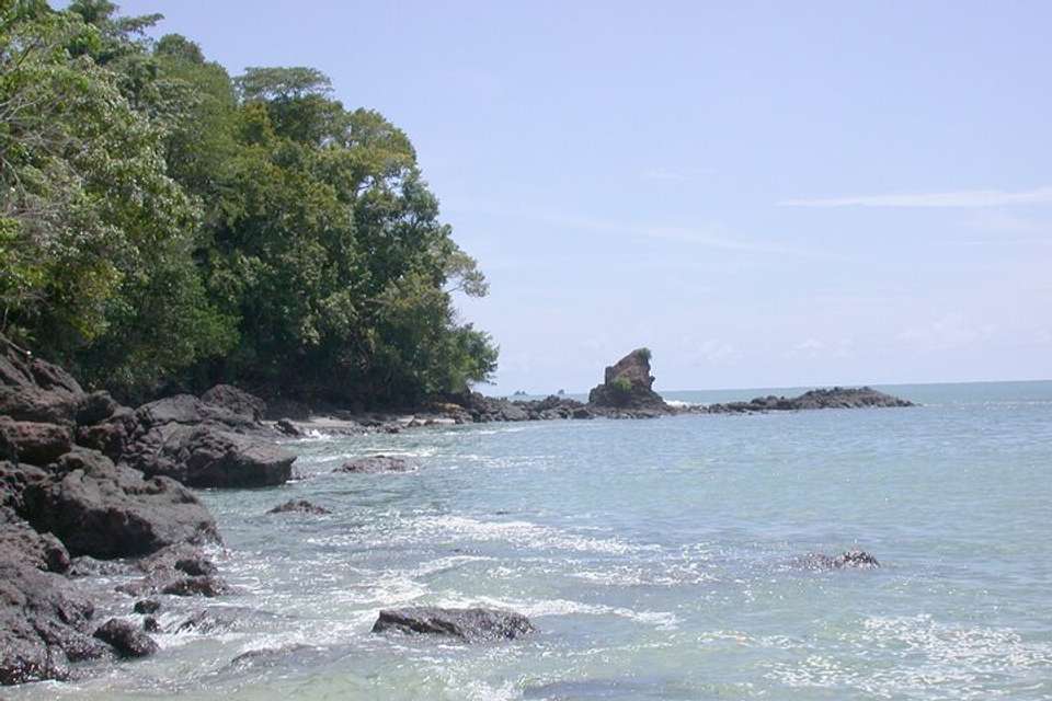 Manuel Antonio National Park Full Day Tour From San Jose - Destination Services - Costa Rica - Image 4