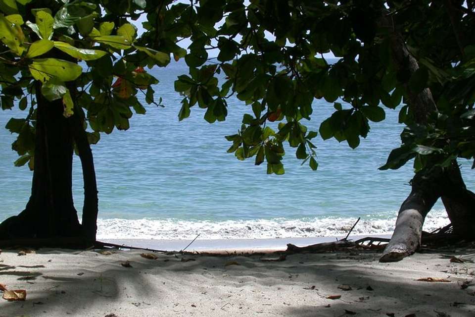 Manuel Antonio National Park Full Day Tour From San Jose - Destination Services - Costa Rica - Image 5
