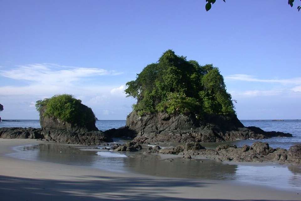 Manuel Antonio National Park Full Day Tour From San Jose - Destination Services - Costa Rica - Image 7