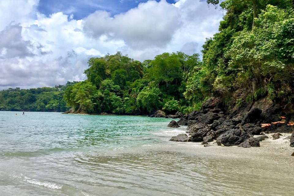 Manuel Antonio National Park Full Day Tour From San Jose - Destination Services - Costa Rica - Image 11